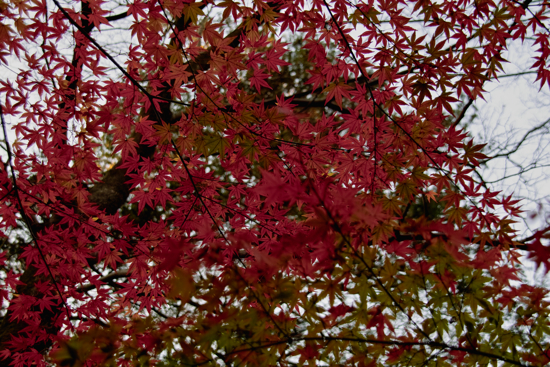 b0137311_16232359.jpg