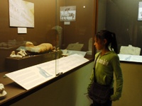 d0128712_1347045.jpg