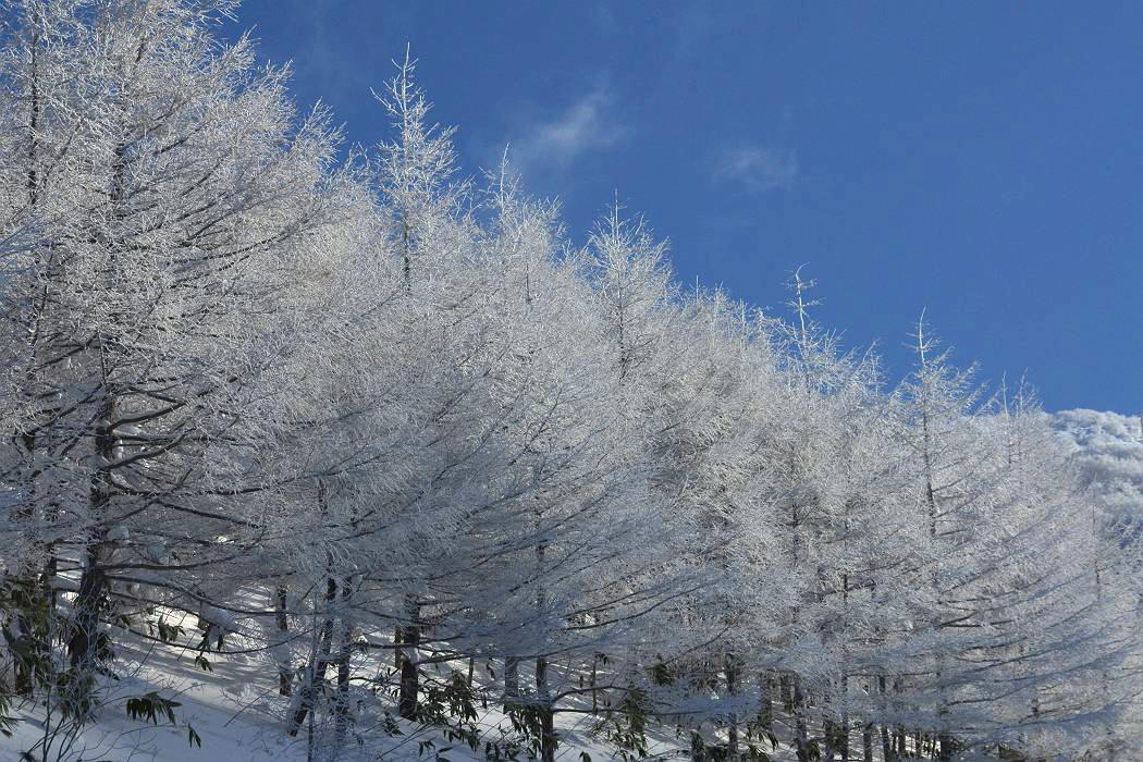 安達太良連峰 ｛箕輪山」の風景_d0106628_54373.jpg