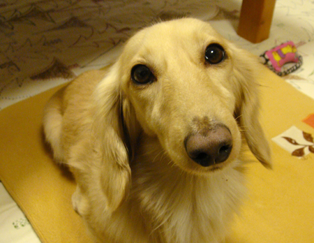 c0117831_21593610.jpg