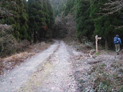 今年４９回目の山は、背振山系　矢筈峠～椎原峠_c0077338_7311620.jpg