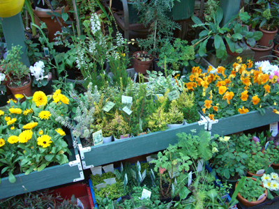 e0110940_2443538.jpg