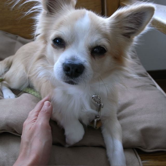 c0184643_10441728.jpg