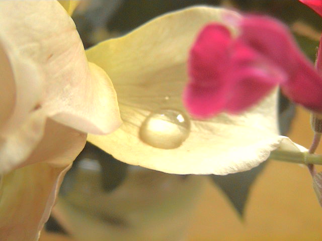 ちょっとずつ。_e0060555_17112723.jpg
