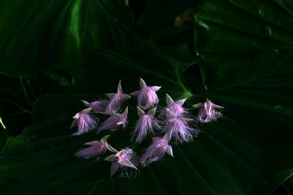 f0147858_2151347.jpg