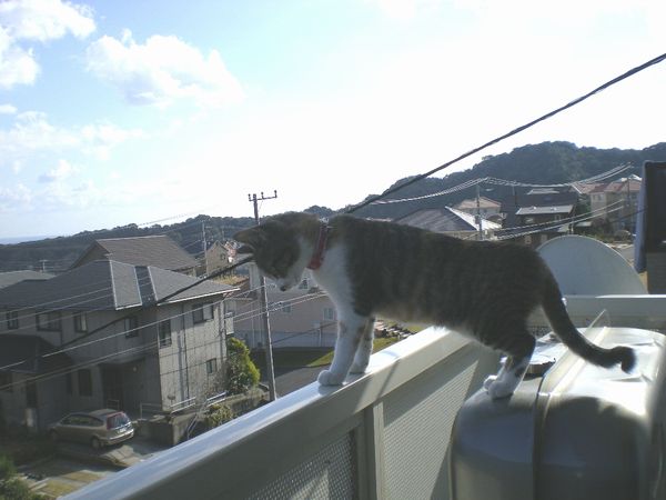 2008年12月29日(月)あと三日寝ると・・・!_f0060461_10393454.jpg