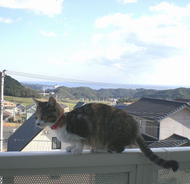 2008年12月29日(月)あと三日寝ると・・・!_f0060461_1041591.jpg