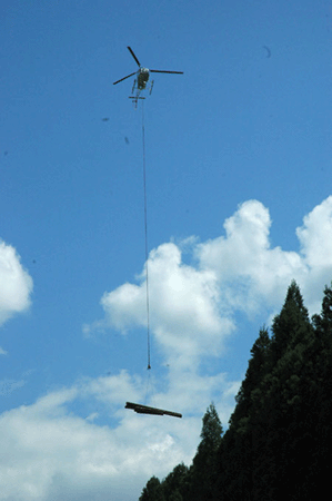 e0164563_17302096.gif