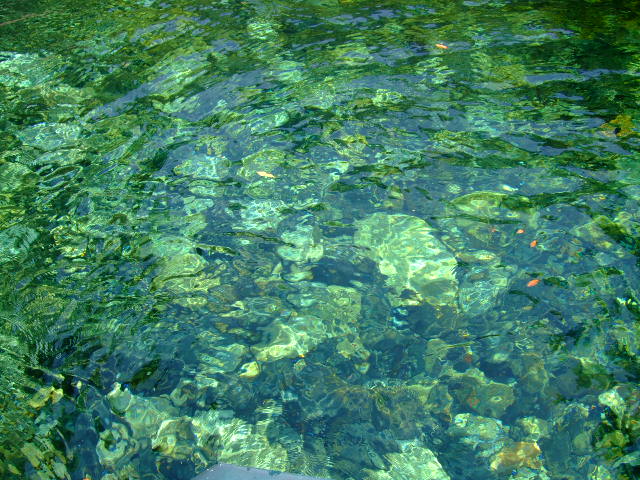 f0142070_2211973.jpg