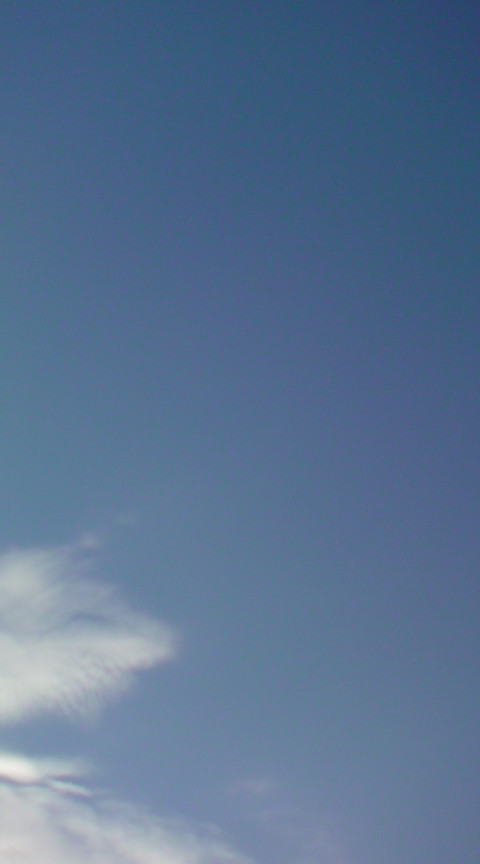 「青空～雲～♪♪」_e0051174_751227.jpg