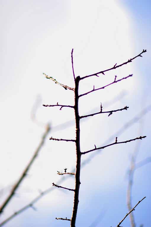 f0155580_1505657.jpg