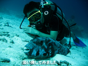 いえ~~~い!! シミラン最高です!_f0144385_25151100.jpg