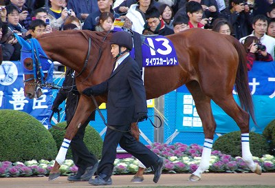 有馬記念は堂々の逃げ切りで、ダイワスカーレットが牝馬37年 有馬記念は堂々の逃げ切りで、ダイワスカーレットが牝馬37年