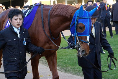 有馬記念は堂々の逃げ切りで、ダイワスカーレットが牝馬37年 有馬記念は堂々の逃げ切りで、ダイワスカーレットが牝馬37年