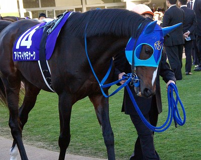 有馬記念は堂々の逃げ切りで、ダイワスカーレットが牝馬37年 有馬記念は堂々の逃げ切りで、ダイワスカーレットが牝馬37年