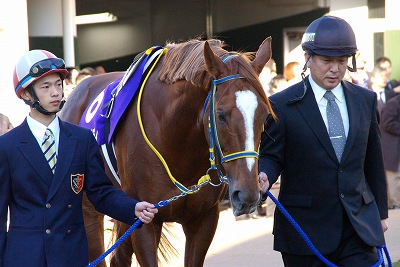 有馬記念は堂々の逃げ切りで、ダイワスカーレットが牝馬37年 有馬記念は堂々の逃げ切りで、ダイワスカーレットが牝馬37年
