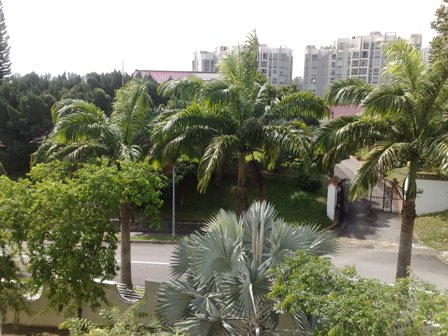 f0195286_16114851.jpg