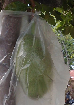 f0195286_16183988.jpg