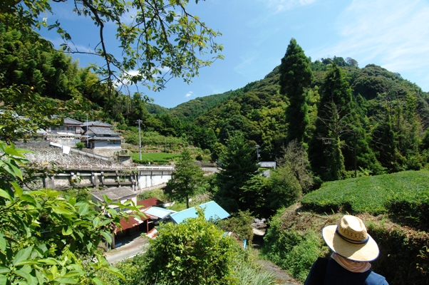 b0097889_21403452.jpg