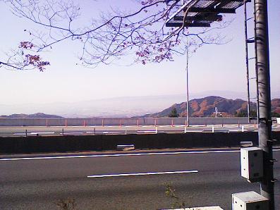 b0100489_16514996.jpg