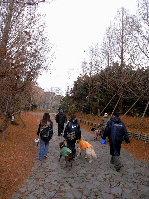 お伊勢参り、ちゅら快気祝い＆moreツアー　3日目もな家お泊り_a0093592_023192.jpg