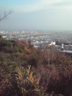 北山公園_e0094796_20504215.jpg