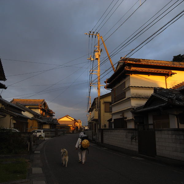 11月21日 おへんろ11日め by GX100_c0049299_19235517.jpg