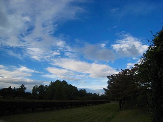 d0121300_19472360.jpg