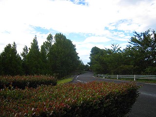 d0121300_19482330.jpg