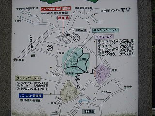 d0121300_19485847.jpg