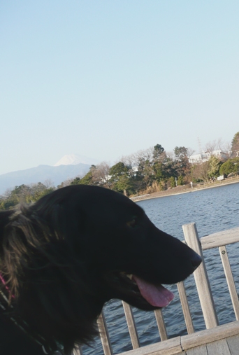 c0097309_1929890.jpg