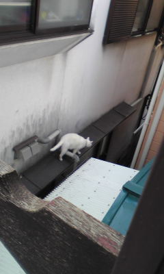 c0180209_2032257.jpg