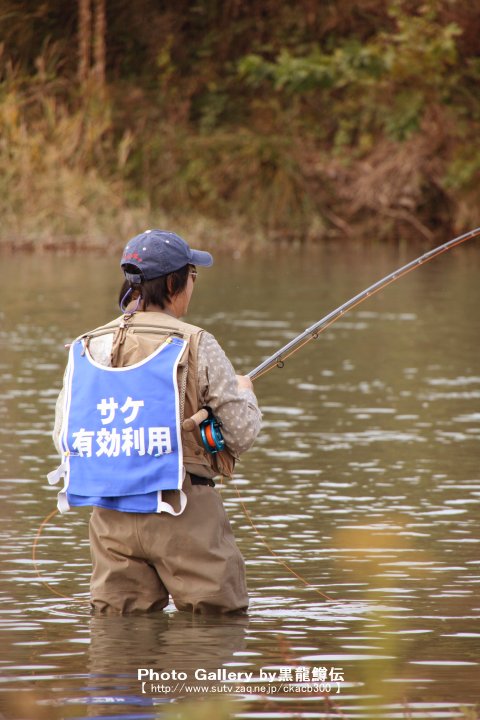 ☆本州の鮭釣２☆_c0021113_21393786.jpg