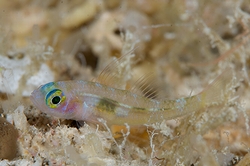b0155916_011427.jpg