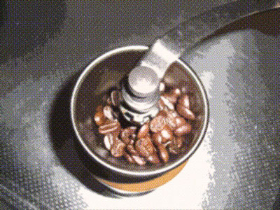 f0028928_24844.jpg