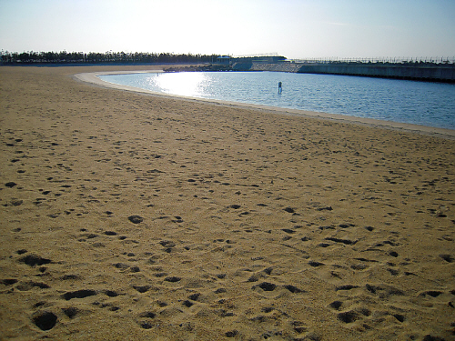 d0017632_19161129.jpg