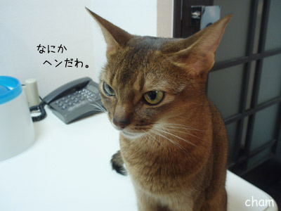 c0132438_22374429.jpg