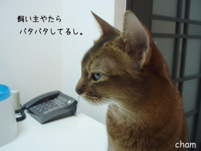 c0132438_22383077.jpg