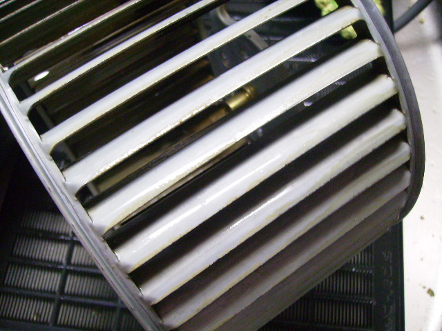 c0089446_219025.jpg