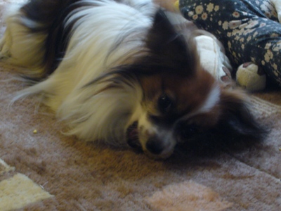 e0100046_22192579.jpg