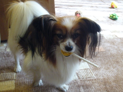 e0100046_22231356.jpg