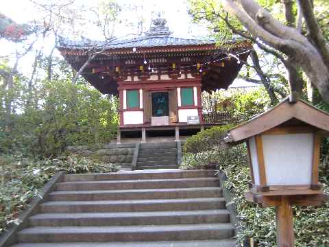 【和風庭園で朝の散歩】動画追加しました_b0009849_18352088.jpg