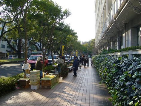 f0067354_1772613.jpg