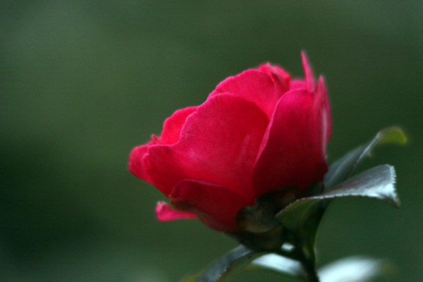 f0147858_15461129.jpg