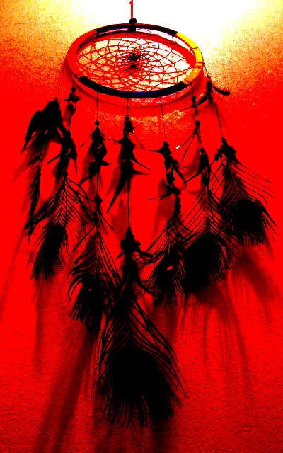 Dream catcher_e0159660_22294460.jpg