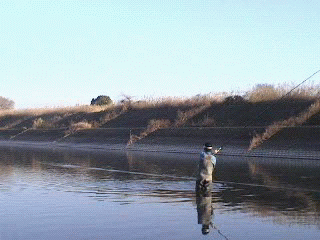 f0084561_14345419.gif