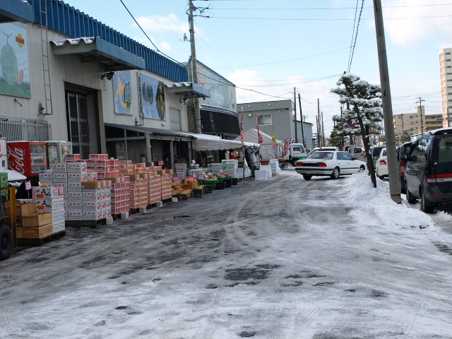 タコ頭_d0153062_9434536.jpg