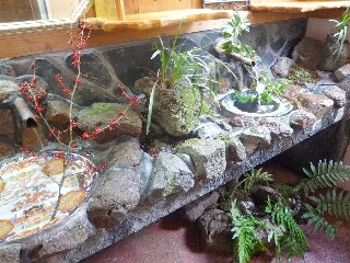 寄り道しながら・・・_f0121167_11472182.jpg