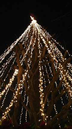 c0127670_2261768.jpg