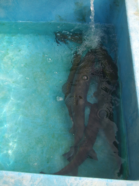 f0142070_17284946.jpg